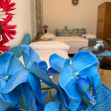 Sunray Guest House, Private & With Lovely Sea View וארנה